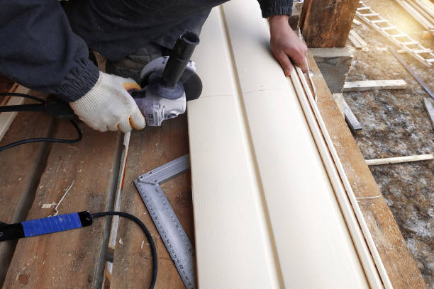 Best Fascia and Soffit Installation  in Fairmont, MN