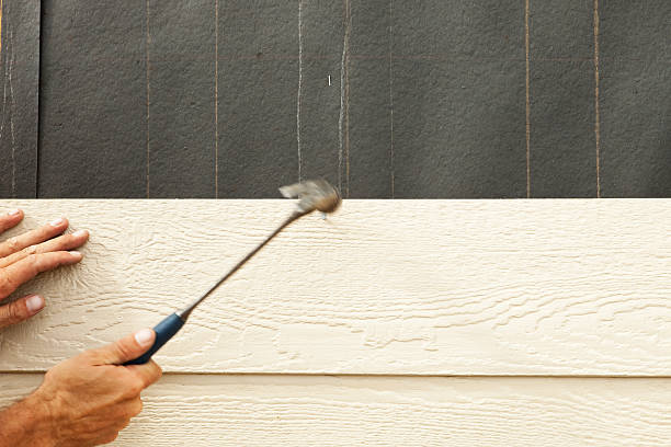 Best Insulated Siding Installation  in Fairmont, MN